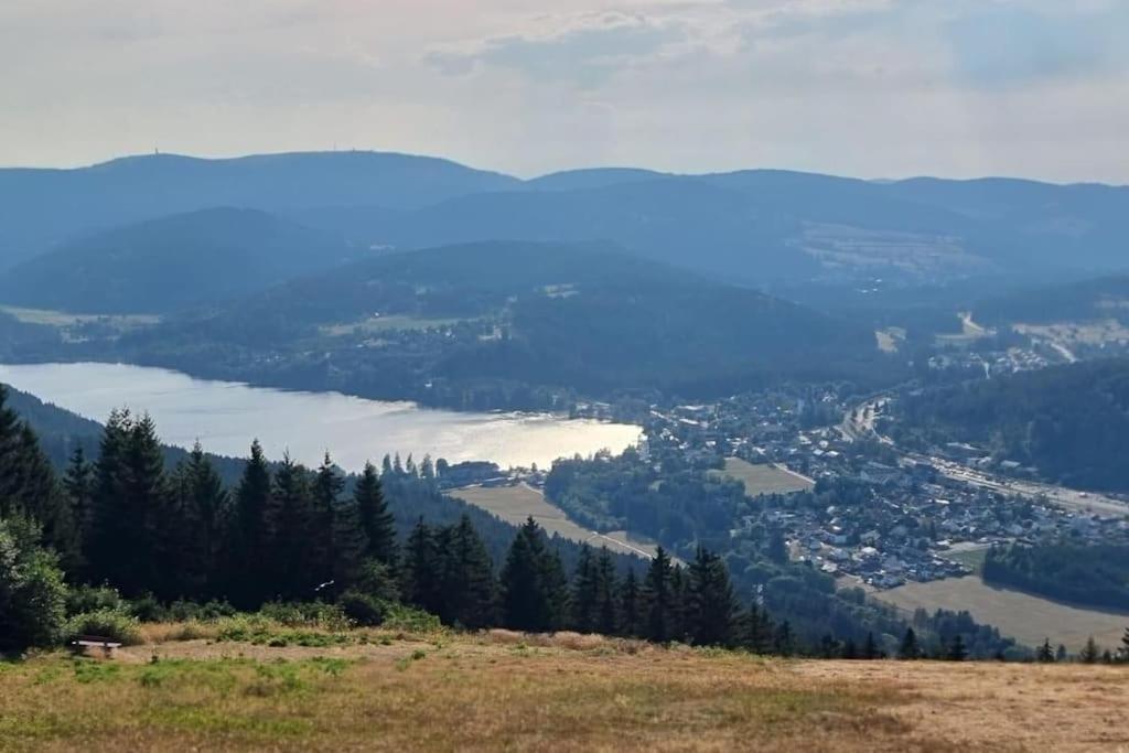 Titisee Traumblick Hinterzarten