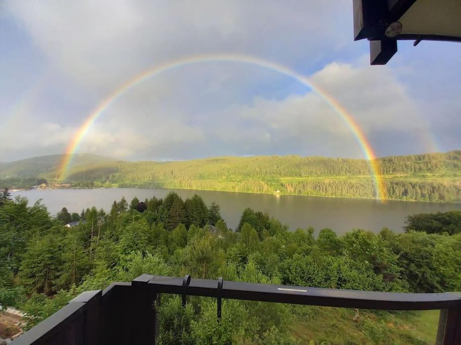 Titisee Traumblick
